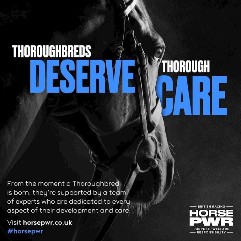 HorsePWR_1080x1080_DeserveCare.jpg
